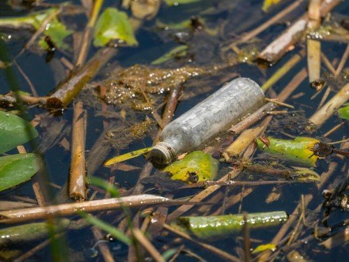 Rethinking Growth to Tackle Global Environmental Crises